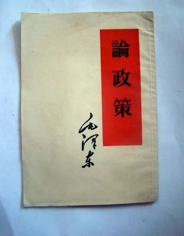 《论政策》.webp.jpg