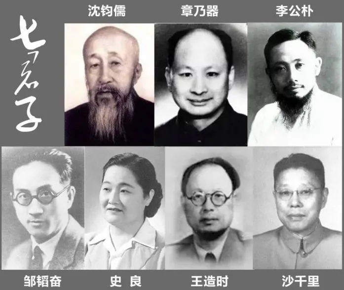 七君子.webp.jpg