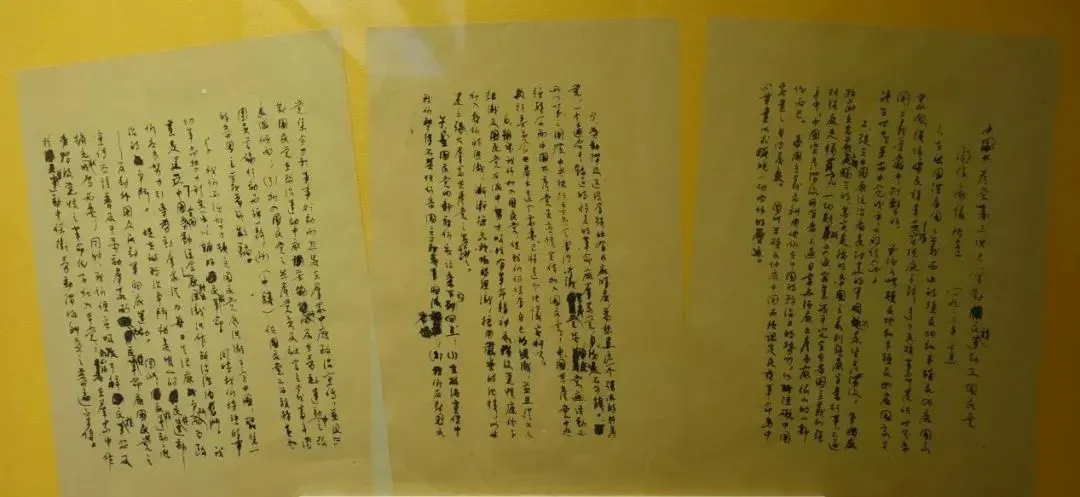 图｜《关于国民运动及国民党问题的议决案》.webp.jpg