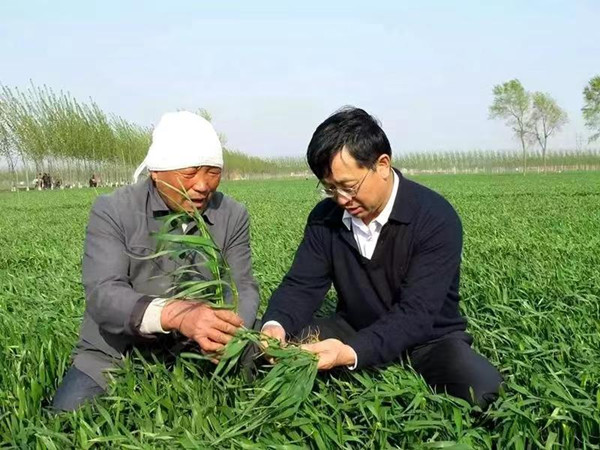 2张福锁（右）在田间指导.jpg