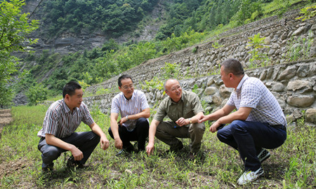 屠鹏飞赴广元旺苍中药材基地考察_副本.jpg
