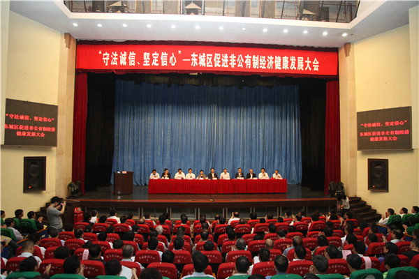 促进非公经济健康发展大会.jpg