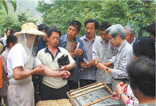 首都“光彩惠农行动”如火如荼，其中最具特色的是建立养蜂合作社的“甜蜜事业”.png