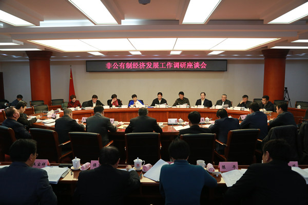 非公有制经济发展工作座谈会召开.jpg