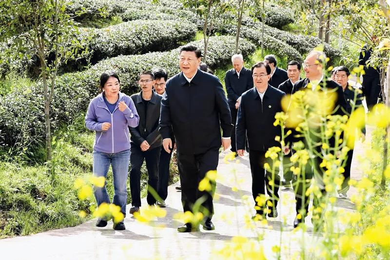 新66.jpg