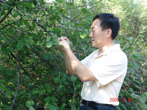 高吉喜——野外生态考察_副本.jpg