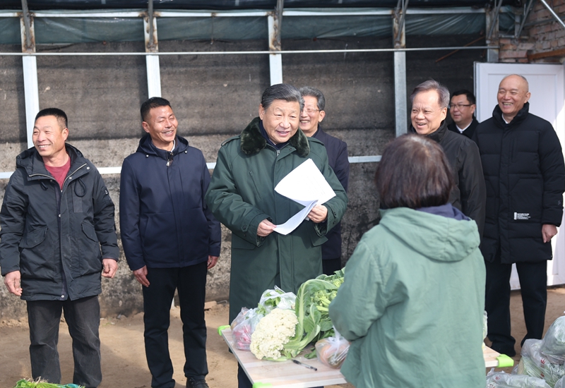 2月1日至2日，中共中央总书记、国家主席、中央军委主席习近平来到天津，看望慰问基层干部群众。这是1日上午，习近平在西青区辛口镇第六埠村实地察看去年洪涝灾害后当地农业生产恢复等情况时，走进大棚同菜农亲切交流。新华社记者 鞠鹏 摄.jpg
